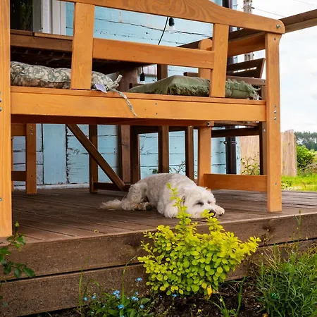 Tatil Evi Siedlisko Niezapominajka - Z Basenem I Balia *